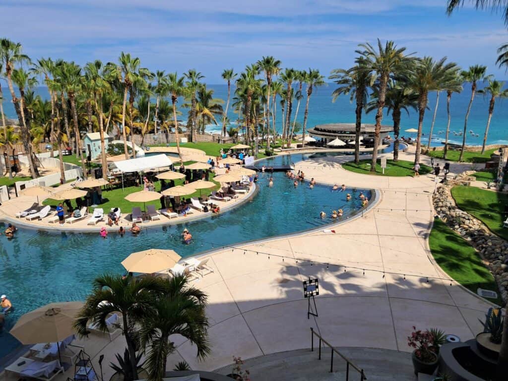 View of the Dolphin pool with palm trees and the sea in the background.