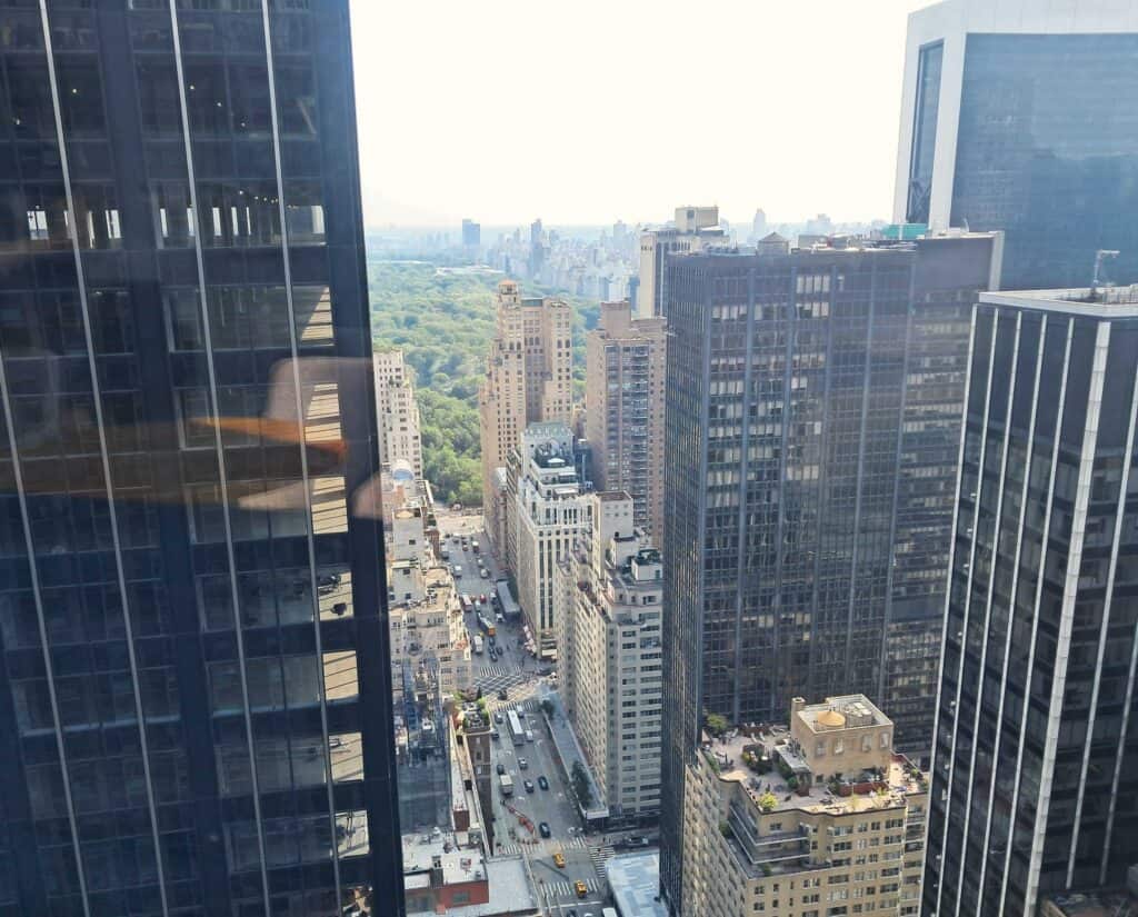 View of Central Park from the Owners Lounge.