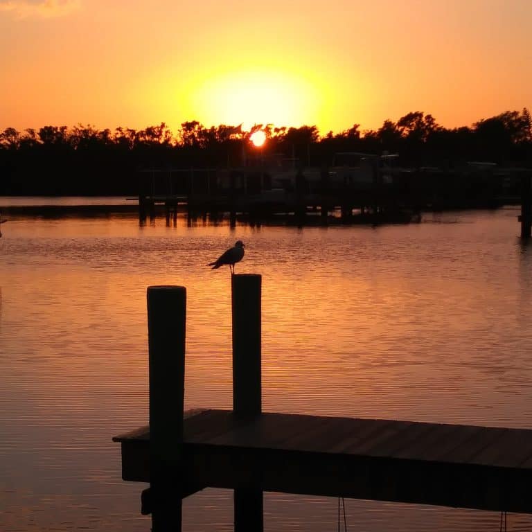 Sunset over the water in Naples Florida.