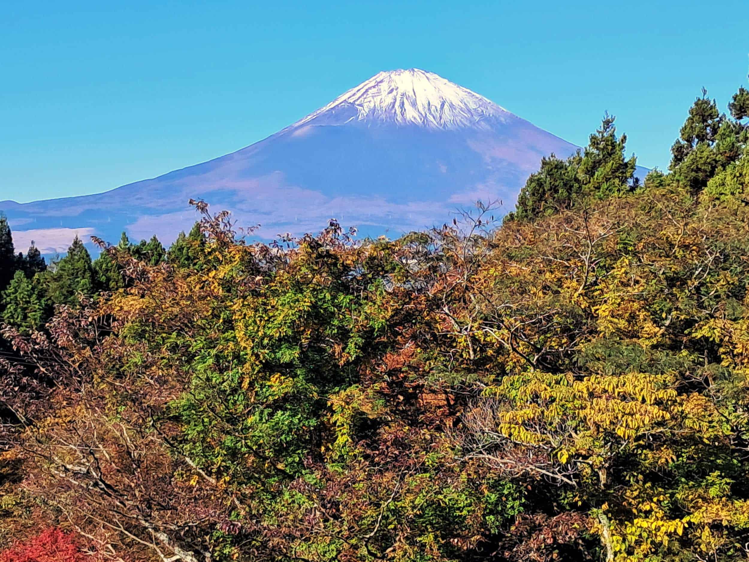 What to Expect on a Tauck Essence of Japan Tour - Practical Travel