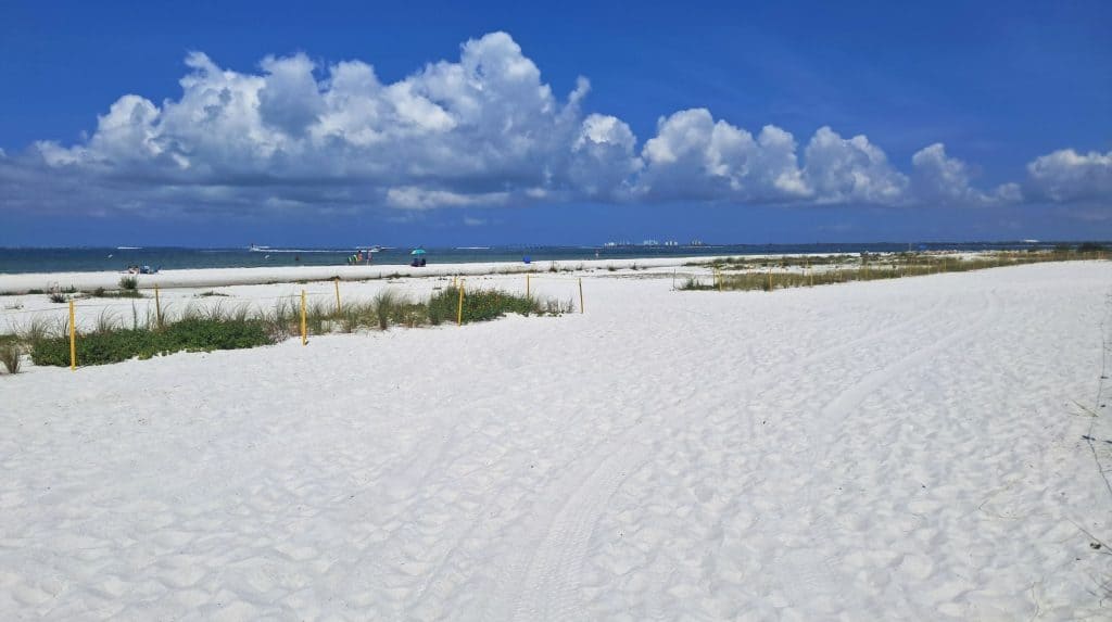 White sand with gulf waters in the background at Bowditch Point Park.