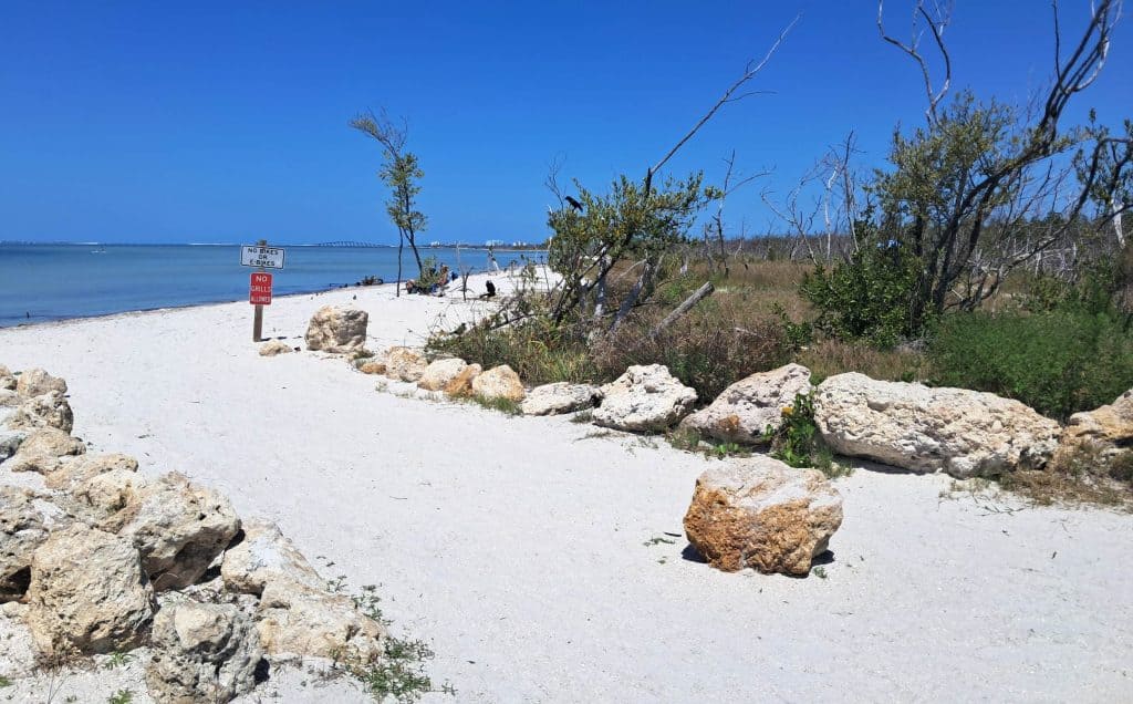 Sand and rocks along Bunche Beach.