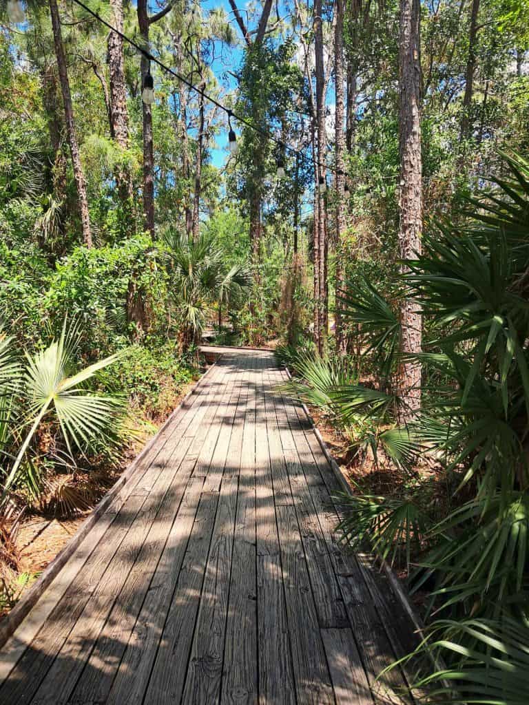 Walk path at Calusa Nature Center in Fort Myers Florida.