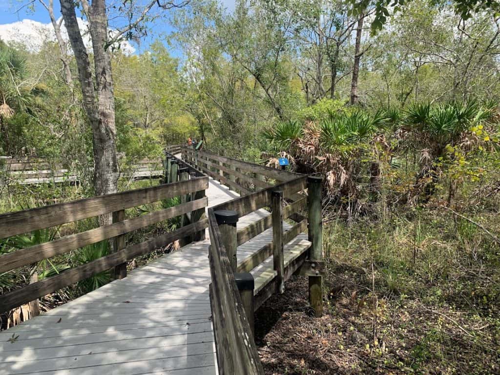 Wooden boardwalk through a nature preserve is a fun thing to do in Fort Myers Florida.